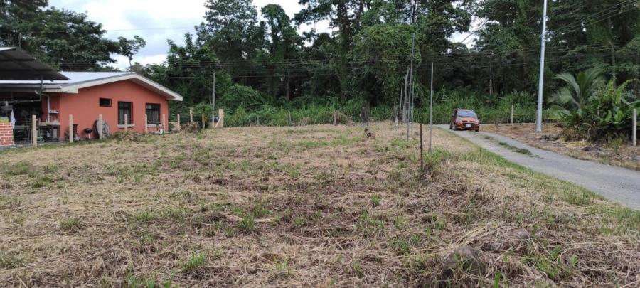 Foto Terreno en Venta en Guapiles, Pococ, Limn - ¢ 17.000.000 - TEV33130 - BienesOnLine