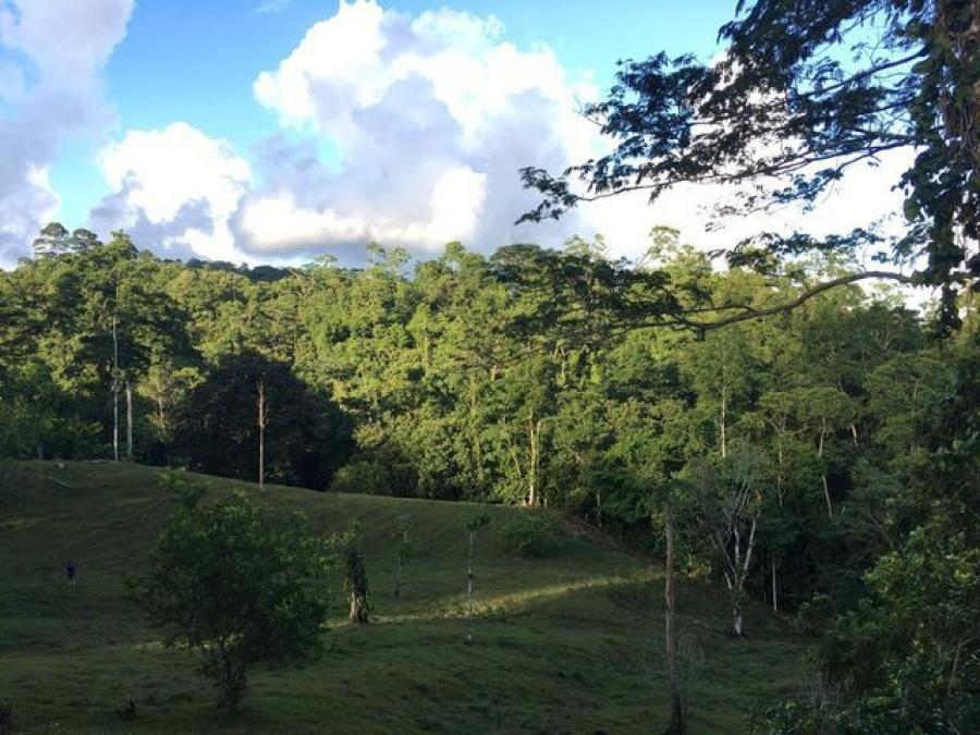 Foto Terreno en Venta en Guapiles, Pococ, Limn - ¢ 50.000.000 - TEV37175 - BienesOnLine