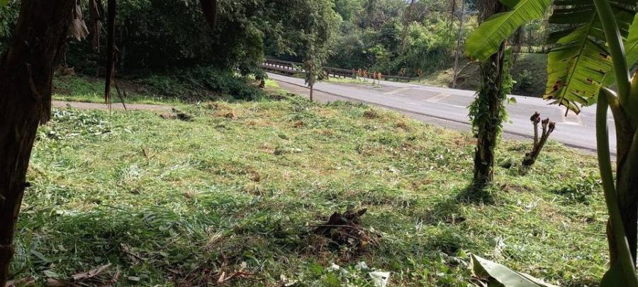 Foto Terreno en Venta en Machuca, San Mateo, Alajuela - &cent; 12.000.000 - TEV65972 - BienesOnLine