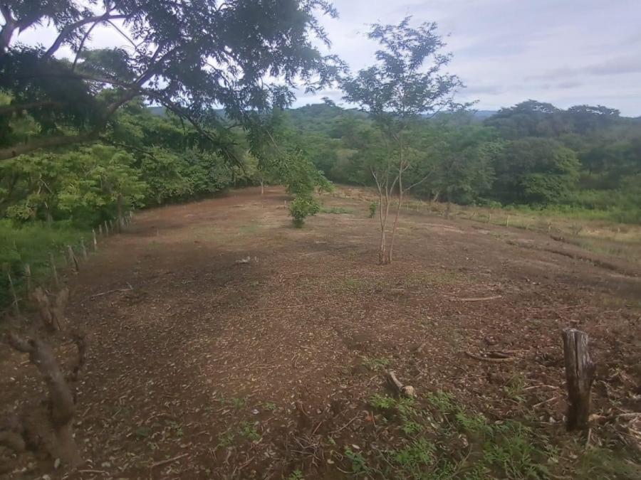 Foto Dos Joyas en el Corazón de Guanacaste! Propiedades en Tamarindo, Santa Cruz, Guanacaste.