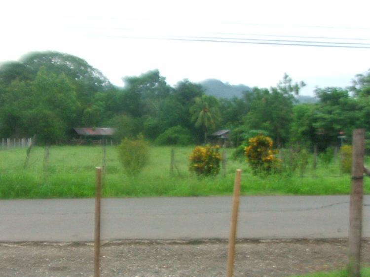 Foto Terreno en Venta en B Caimital de Nicoya, Nicoya, Guanacaste - ¢ 41.000.000 - TEV1869 - BienesOnLine