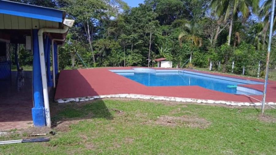 Foto Finca en Venta en Alegra, Limn - ¢ 125.000.000 - FIV85427 - BienesOnLine