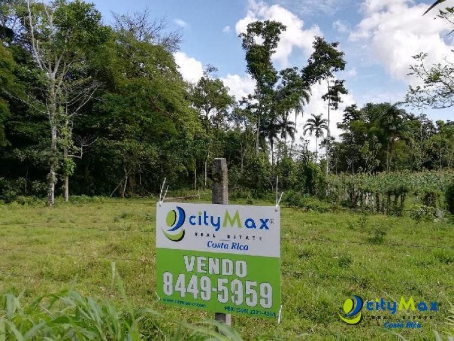 Foto Terreno en Venta en Rio Jimenez, Limn - ¢ 35.000.000 - TEV85504 - BienesOnLine