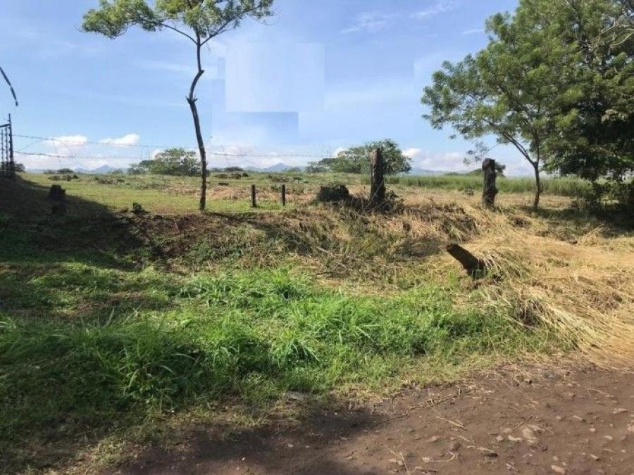 Foto Terreno en Venta en Garita, Alajuela - U$D 299.000 - TEV82771 - BienesOnLine