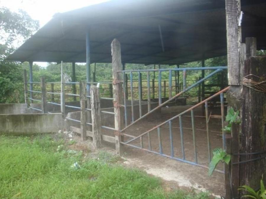 Foto Terreno en Venta en Guapiles, Pococ, Limn - U$D 158.000 - TEV46265 - BienesOnLine