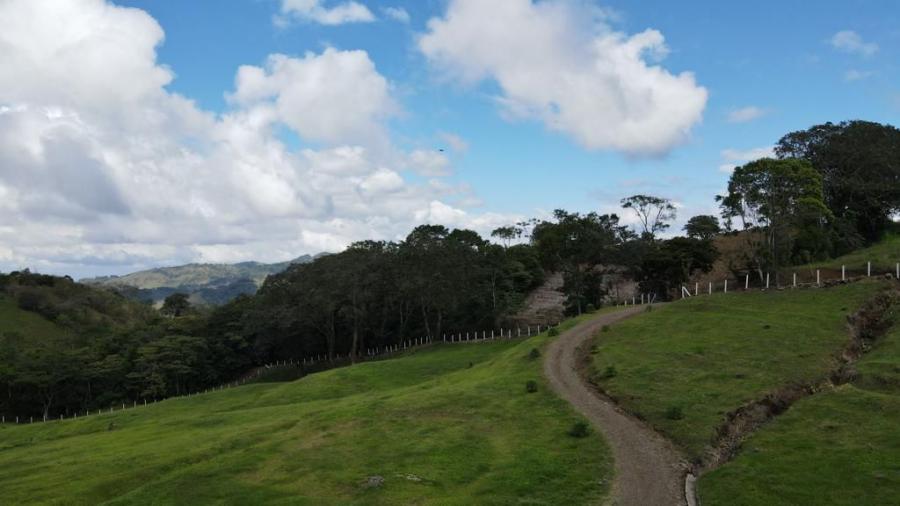 Foto Terreno en Venta en Mercedes Sur Pursical, Puriscal, San José - U$D 499.000 - TEV59149 - BienesOnLine