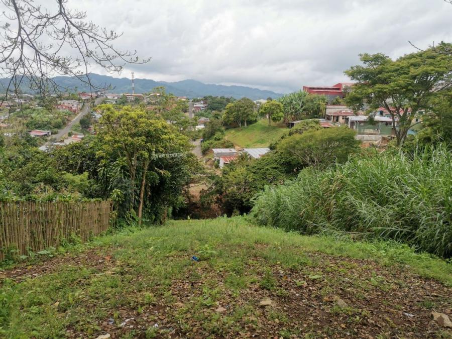 Foto Terreno en Venta en San Ramn, Alajuela - U$D 1.500.000 - TEV48000 - BienesOnLine