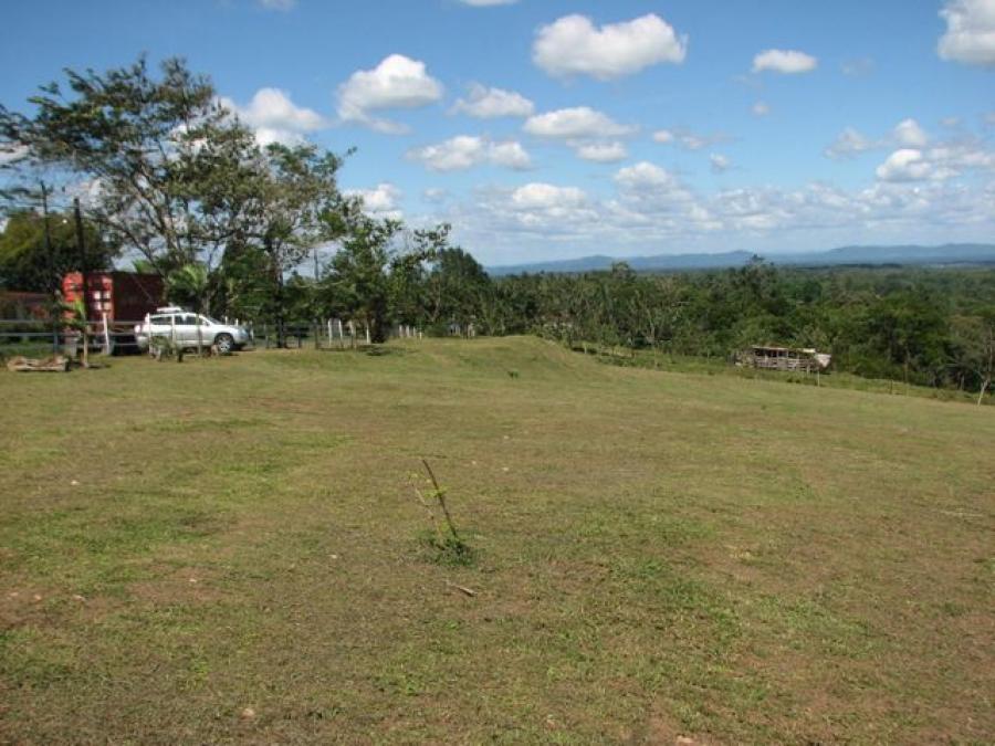 Foto Terreno en Venta en Sarapiqui, Alajuela, Alajuela - U$D 85.000 - TEV46705 - BienesOnLine