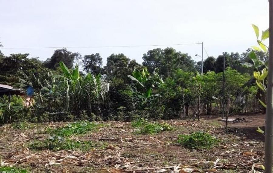 Foto Terreno en Venta en Guapiles, Pococ, Limn - U$D 15.000 - TEV40208 - BienesOnLine