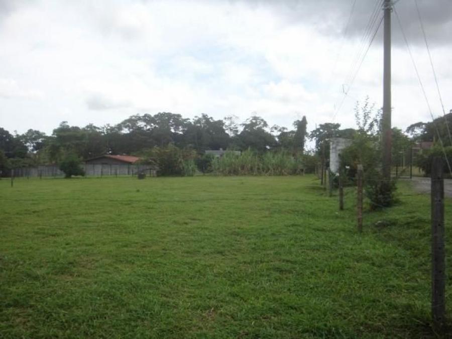 Foto Terreno en Venta en Guapiles Centro, Pococ, Limn - U$D 70.000 - TEV48842 - BienesOnLine