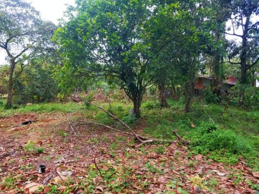 Foto Terreno en Venta en Guapiles, Pococ, Limn - U$D 13.880 - TEV54353 - BienesOnLine