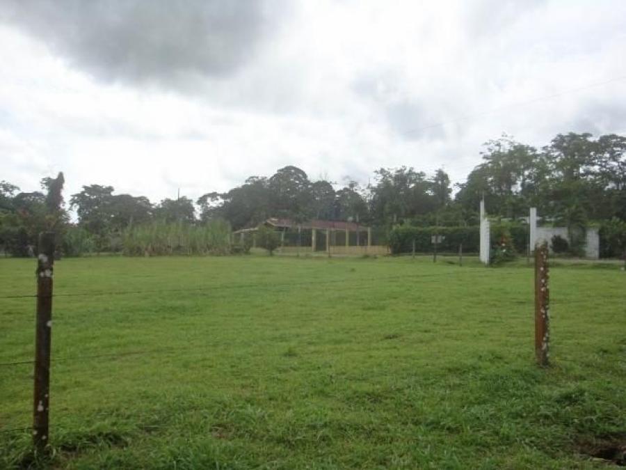 Foto Terreno en Venta en Guapiles, Pococ, Limn - U$D 60.500 - TEV53804 - BienesOnLine