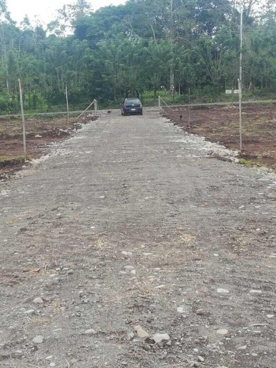 Foto Terreno en Venta en Guapiles, Pococ, Limn - U$D 17.700 - TEV54084 - BienesOnLine