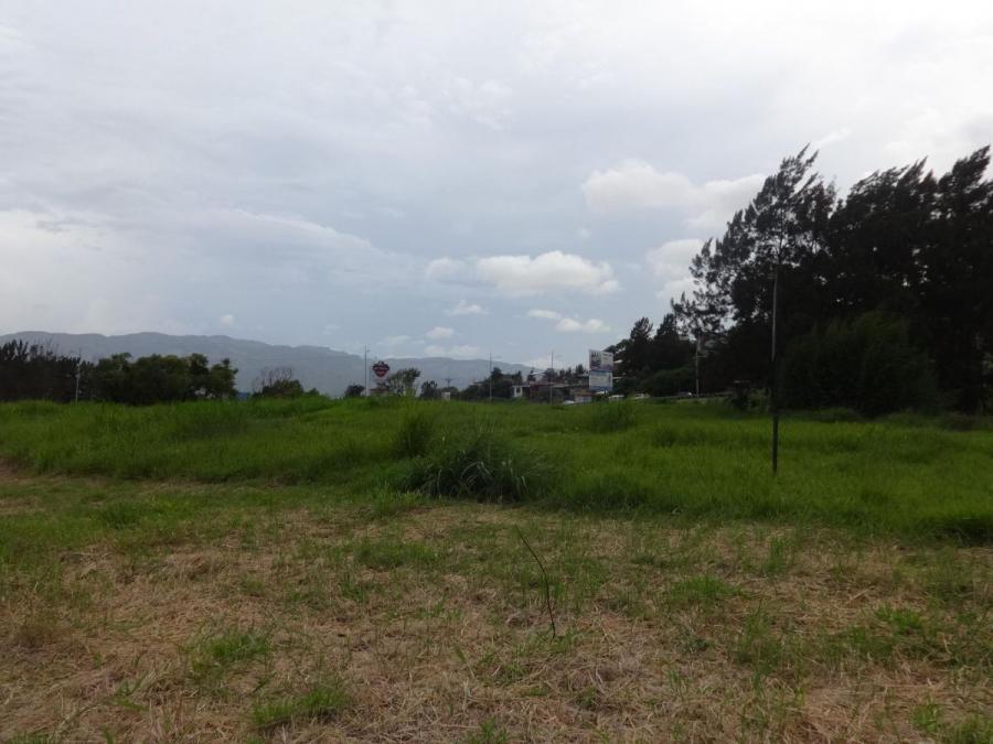 Foto Terreno en Venta en CartagoCentro, Cartago, Cartago - U$D 350.000 - TEV56476 - BienesOnLine