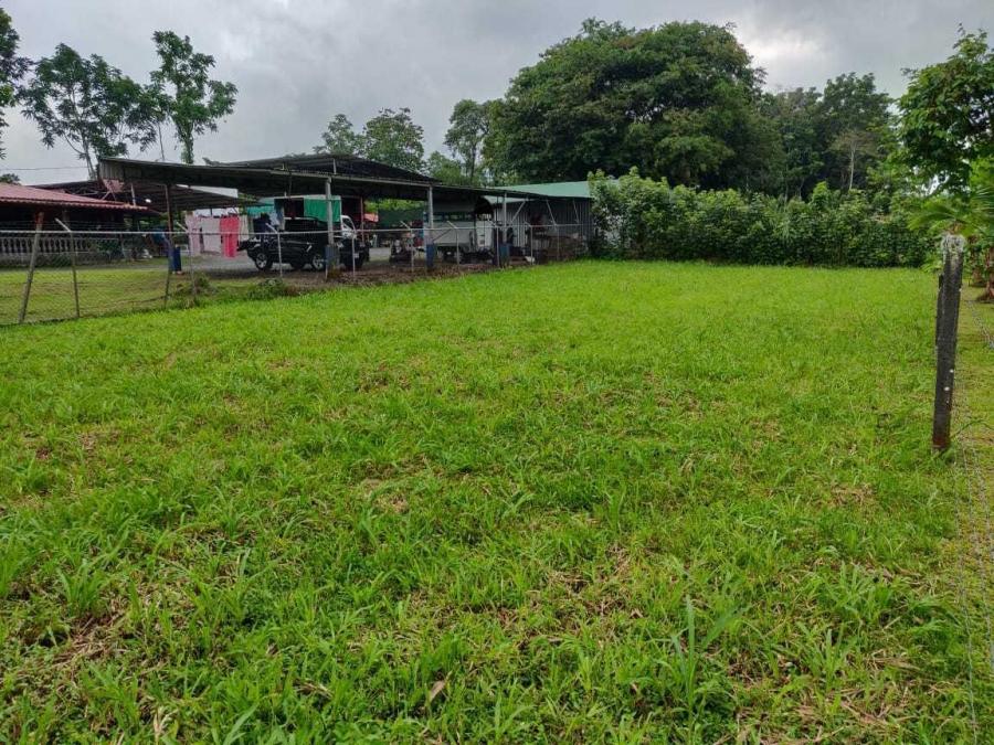 Foto Terreno en Venta en La Colonia de Guapiles, Pococ, Limn - U$D 18.900 - TEV50317 - BienesOnLine