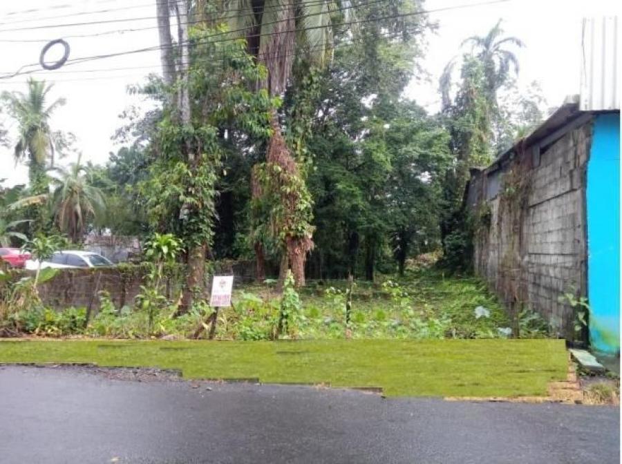 Foto Terreno en Venta en Guapiles, Pococ, Limn - ¢ 121.000.000 - TEV38280 - BienesOnLine