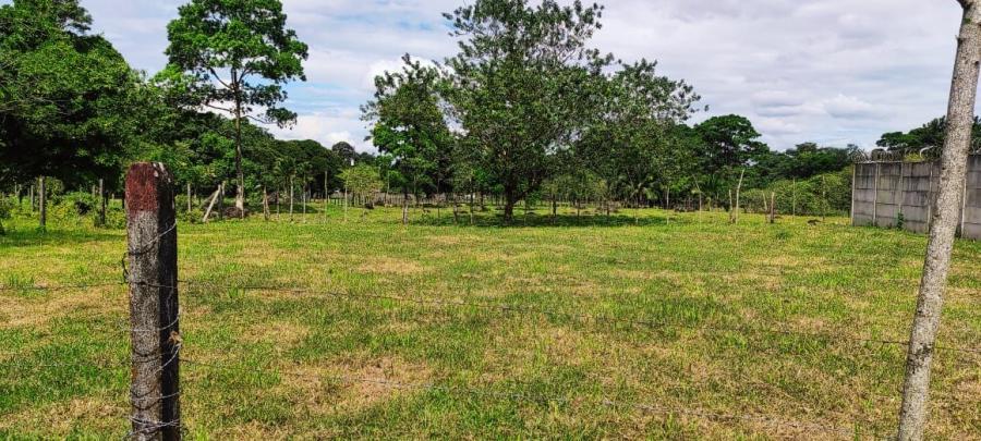 Foto Terreno en Venta en Guapiles, Pococ, Limn - U$D 11.400 - TEV54074 - BienesOnLine