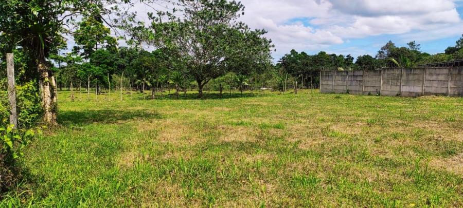 Foto Terreno en Venta en Guapiles, Pococ, Limn - U$D 11.400 - TEV54491 - BienesOnLine