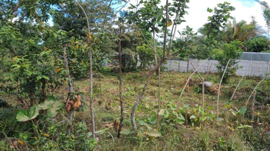 Foto Terreno en Venta en Guapiles, Pococ, Limn - U$D 19.500 - TEV53624 - BienesOnLine