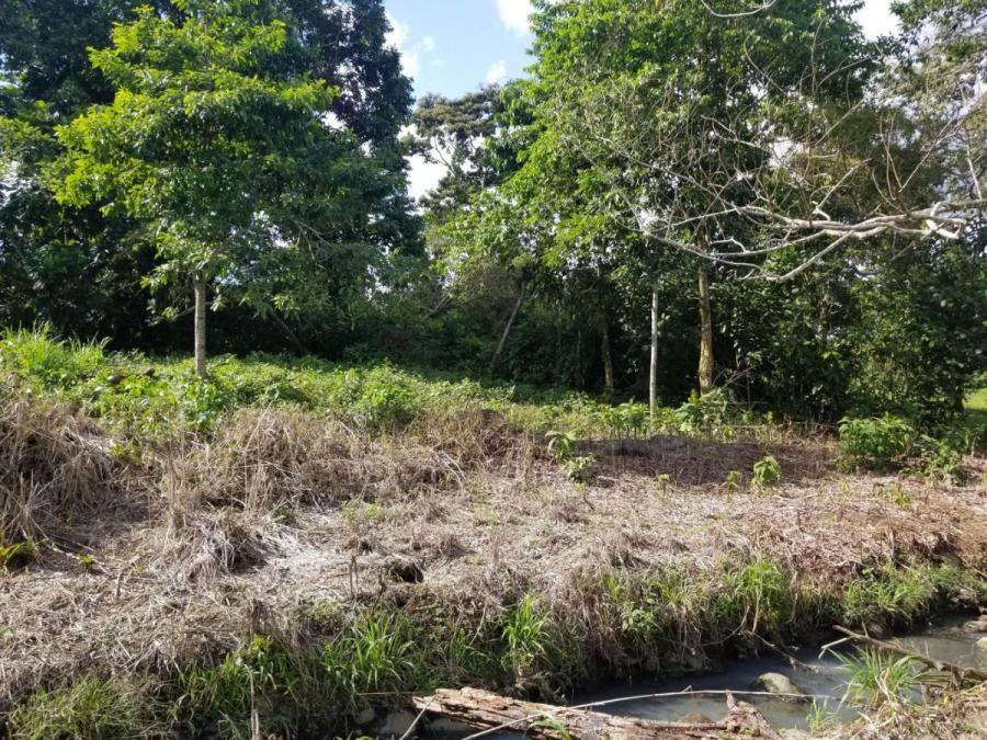 Foto Terreno en Venta en Guapiles, Pococ, Limn - U$D 28.000 - TEV53411 - BienesOnLine