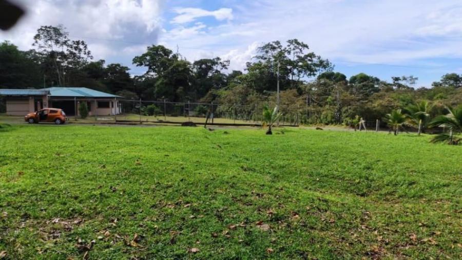 Foto Terreno en Venta en PocoJimenez, Pococ, Limn - U$D 41.600 - TEV54410 - BienesOnLine