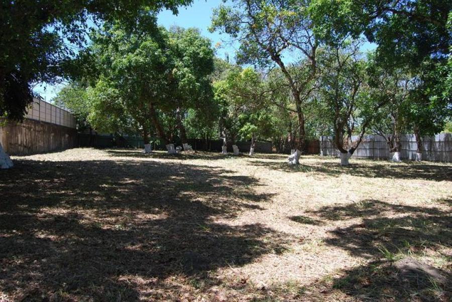 Foto Terreno en Venta en SantaAna, Santa Ana, San Jos - U$D 614.000 - TEV38387 - BienesOnLine