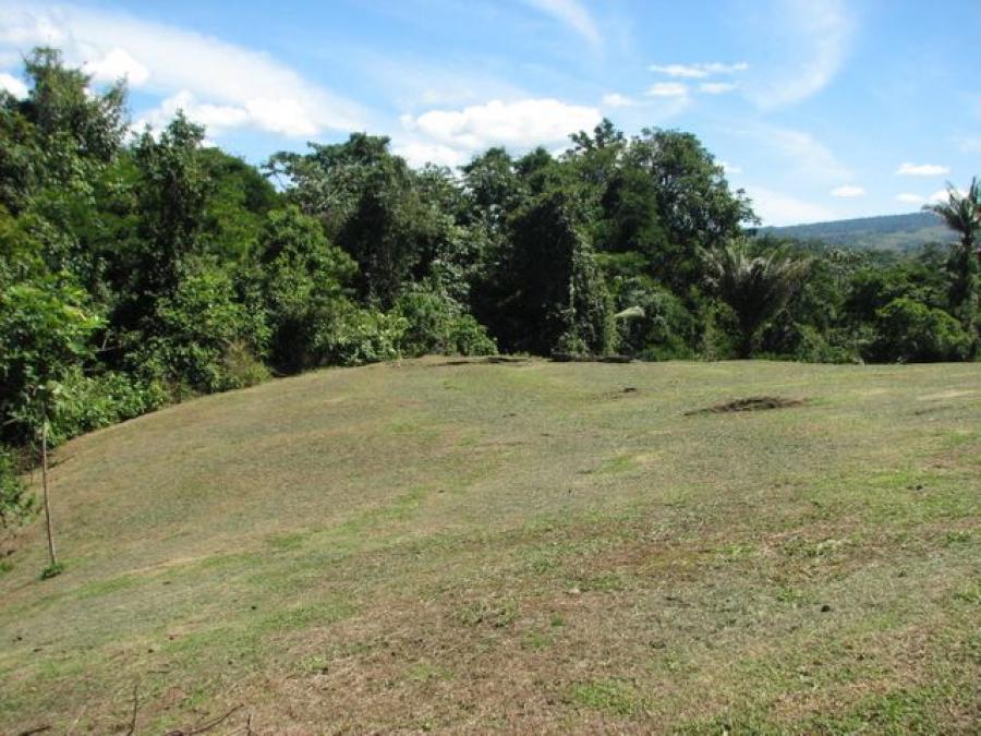 Foto Terreno en Venta en Sarapiqui, Alajuela, Alajuela - U$D 85.000 - TEV52852 - BienesOnLine