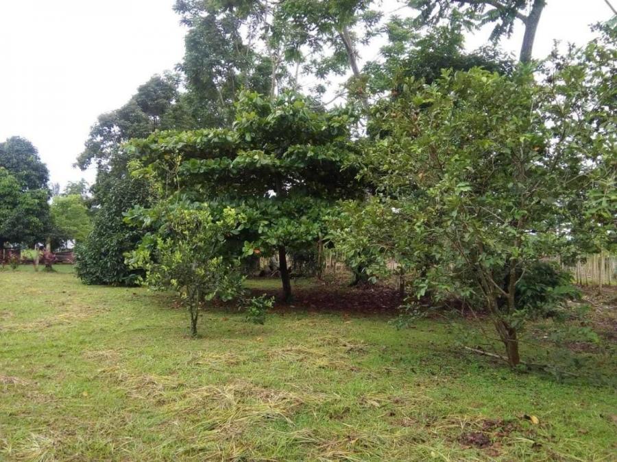 Foto Terreno en Venta en SCMuelle, San Carlos, Alajuela - U$D 24.000 - TEV55078 - BienesOnLine