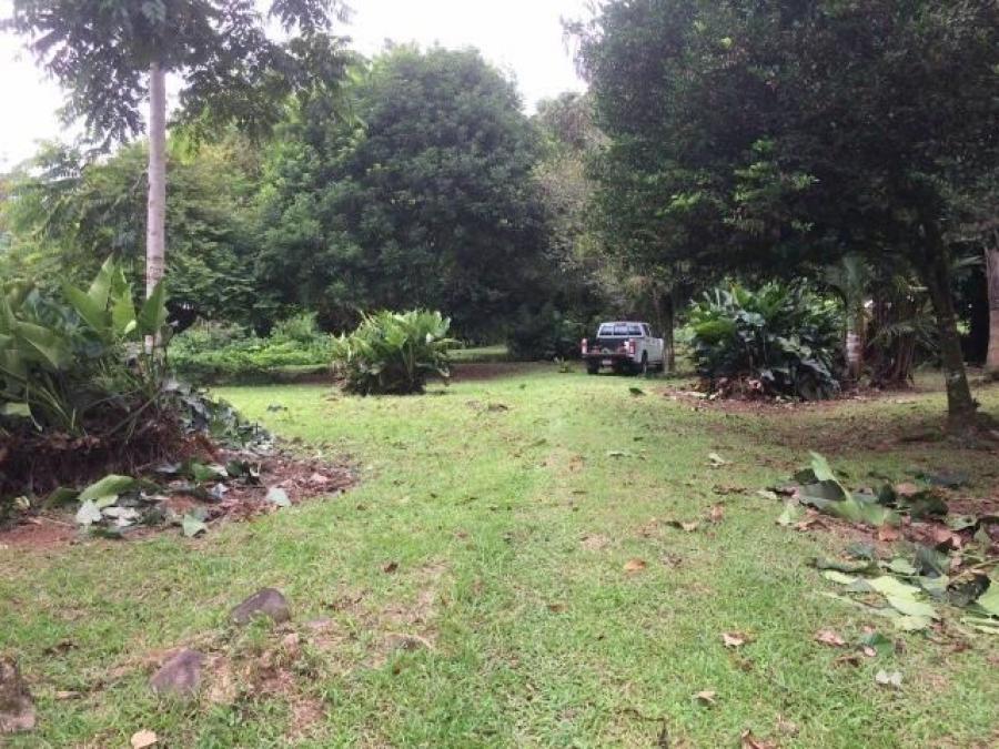 Foto Terreno en Venta en Guapiles Centro, Pococ, Limn - U$D 120.000 - TEV47904 - BienesOnLine