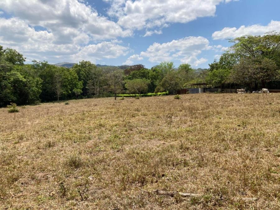 Foto Terreno en Venta en HojanchaHojancha, Hojancha, Guanacaste - U$D 740.000 - TEV72547 - BienesOnLine