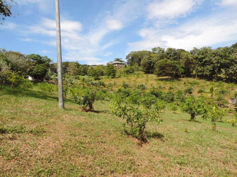 Foto Terreno en Venta en Garabito, Puntarenas - U$D 350.000 - TEV69379 - BienesOnLine