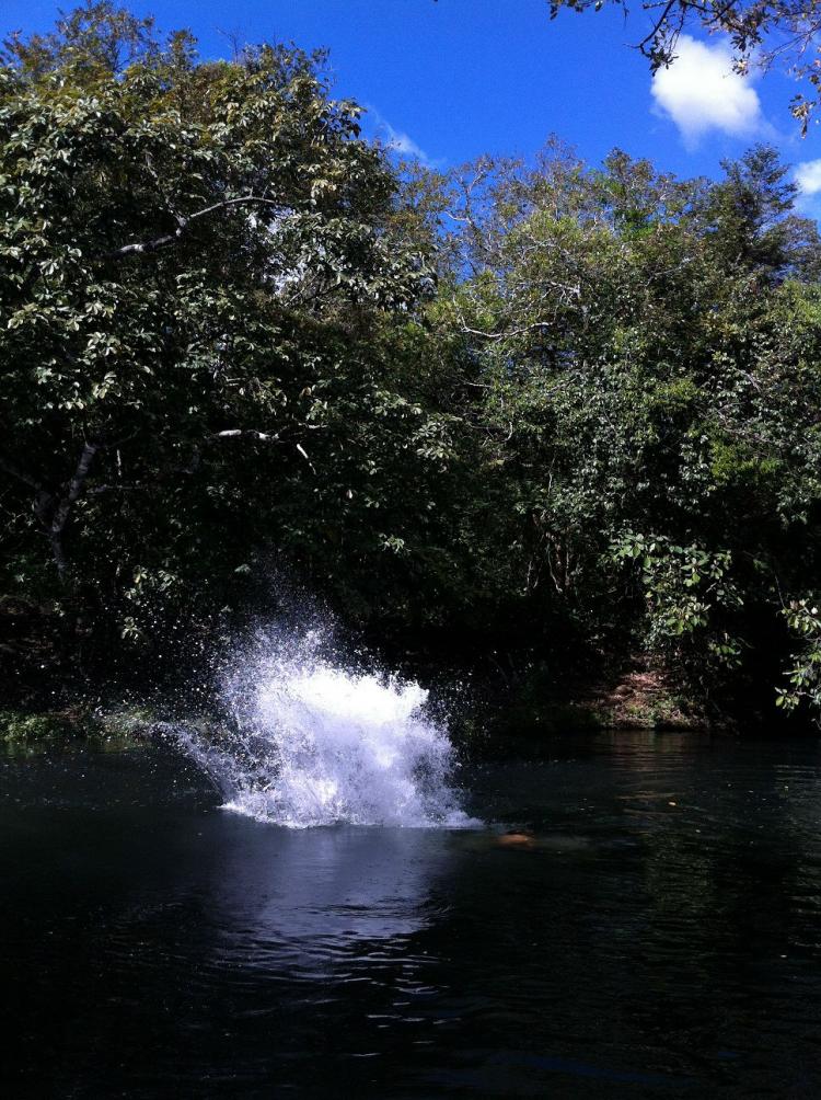 Foto Finca en Venta en Curuband, Liberia, Guanacaste - 15 hectareas - U$D 150.000 - FIV9768 - BienesOnLine