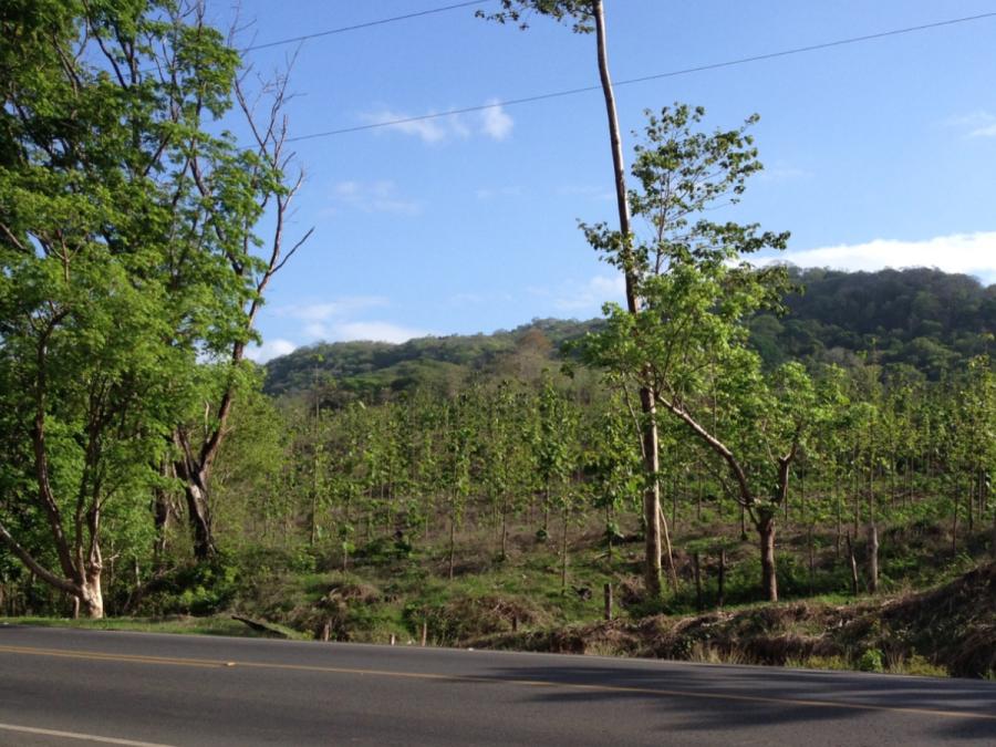 Foto Finca en Venta en Nicoya, Guanacaste - 382 hectareas - U$D 4.000.000 - FIV36982 - BienesOnLine