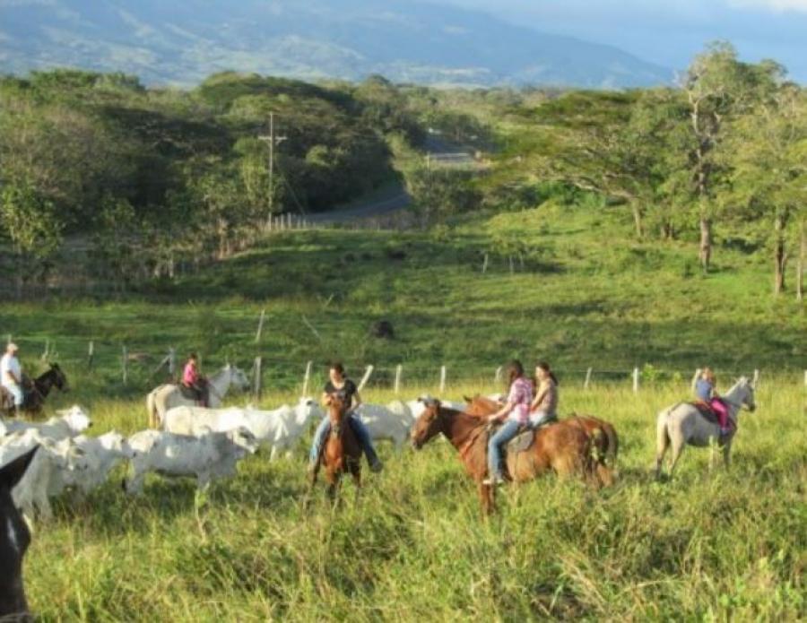 Foto Finca en Venta en Caas, Guanacaste - 4461 hectareas - U$D 60.000.000 - FIV15424 - BienesOnLine