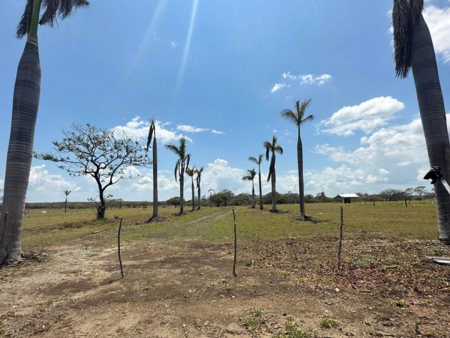 Foto Terreno en Venta en Bagaces, Guanacaste - ¢ 15.000.000 - TEV72727 - BienesOnLine