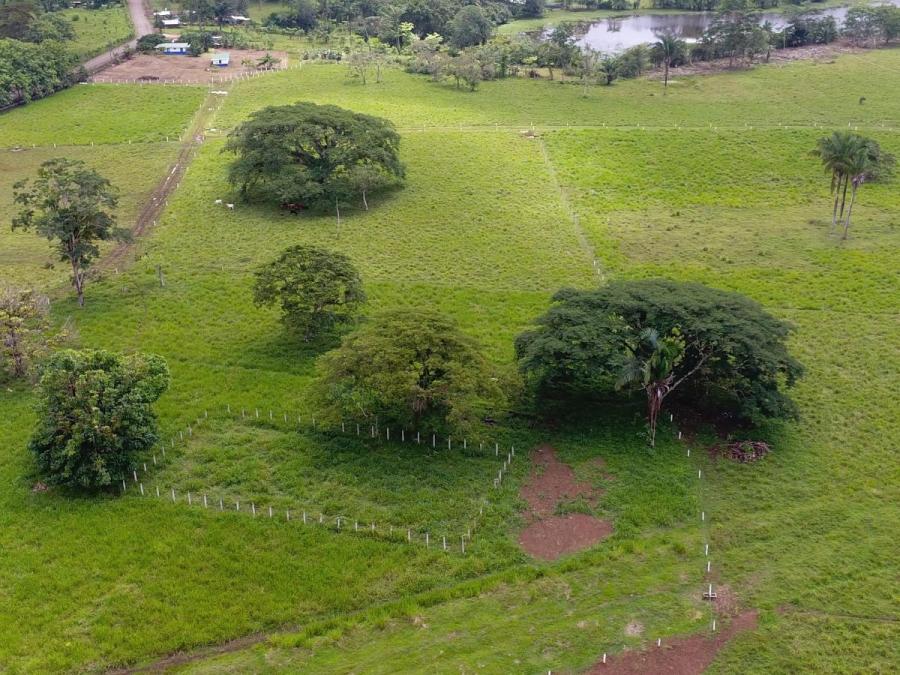 Foto Finca en Venta en Cao Negro, Alajuela - 410 hectareas - U$D 2.400.000 - FIV15192 - BienesOnLine