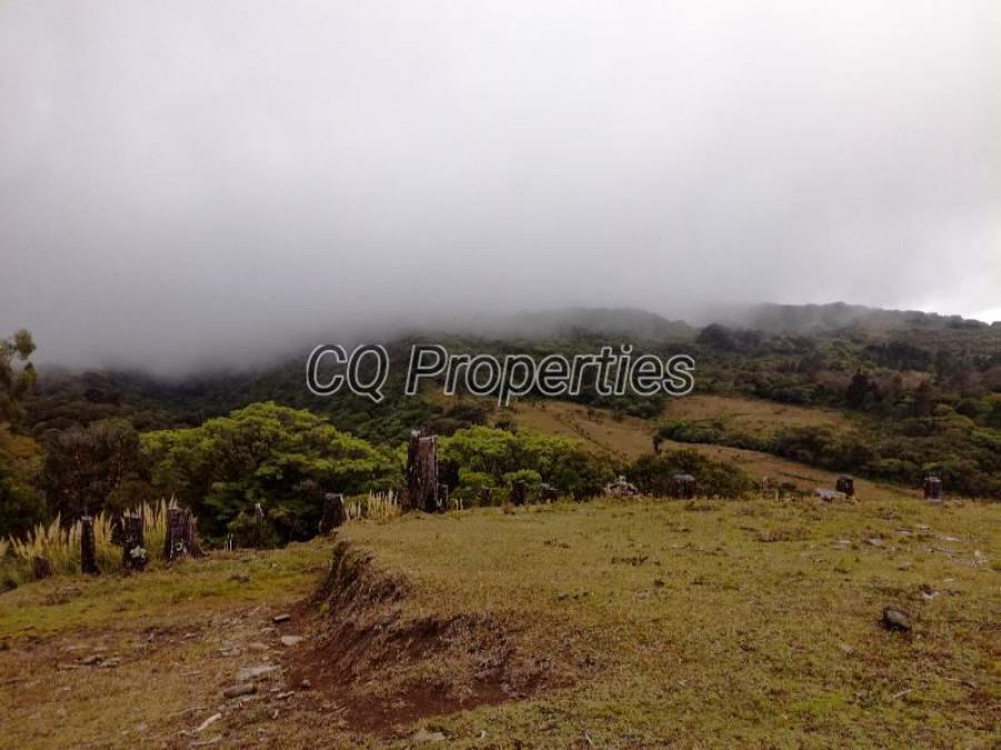 Foto Finca en Venta en Concepcion de San Rafael, San Rafael, Heredia - 88 hectareas - U$D 1.600.000 - FIV89218 - BienesOnLine