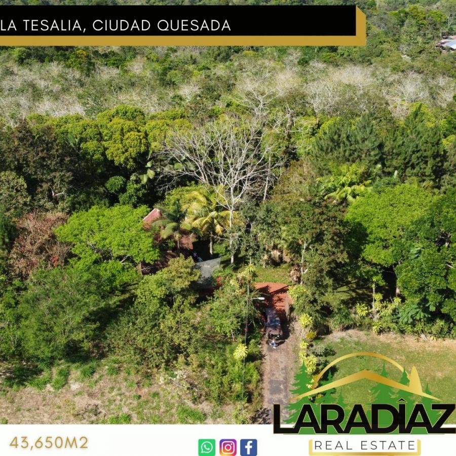 Foto Finca en Venta en La Tesalia, Quesada, Alajuela - 4 hectareas - ¢ 110.000.000 - FIV58043 - BienesOnLine