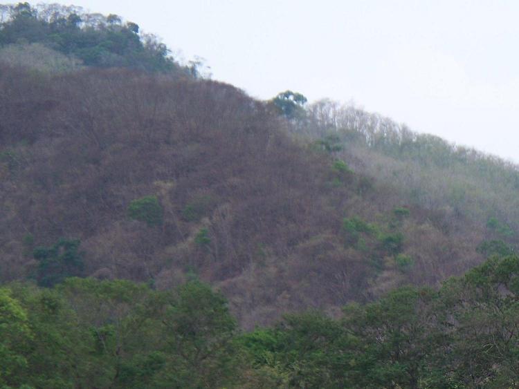 Foto Finca en Venta en San Pablo, Nandayure, Guanacaste - 100 hectareas - U$D 1.250.000 - FIV1212 - BienesOnLine