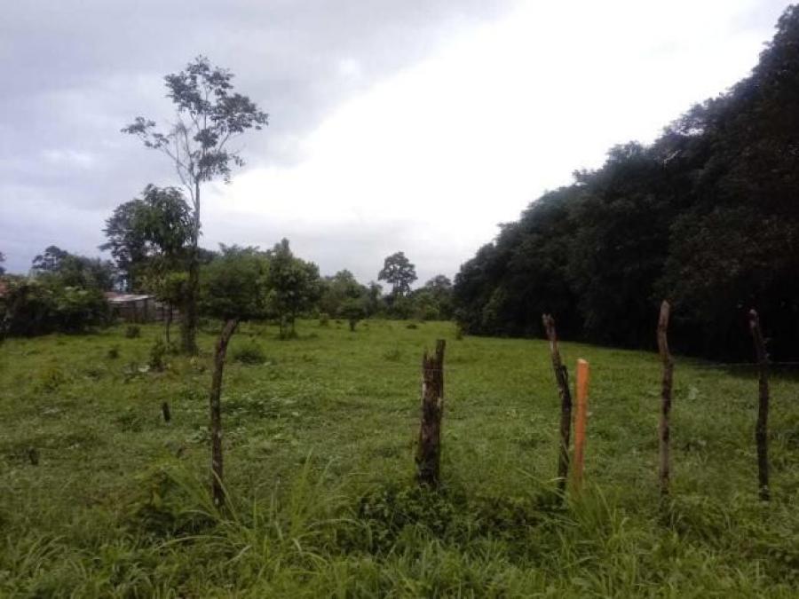 Foto Terreno en Venta en Guapiles, Pococ, Limn - U$D 21.000 - TEV25062 - BienesOnLine