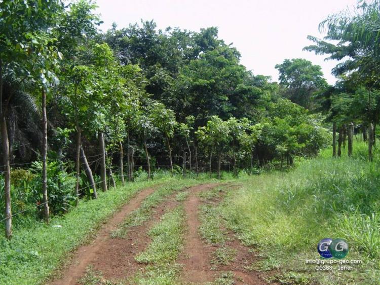 Foto Finca en Venta en Nicoya, Guanacaste - 16 hectareas - U$D 175.000 - FIV2235 - BienesOnLine