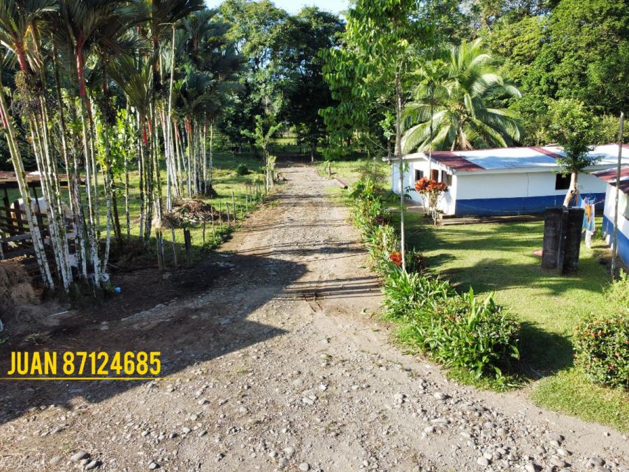 Foto Finca en Venta en Hilda, Rita, Limn - ¢ 85.000.000 - FIV54560 - BienesOnLine