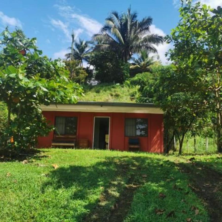 Foto Casa en Venta en Osa, Bahia Ballena, Puntarenas - U$D 90.000 - CAV43547 - BienesOnLine