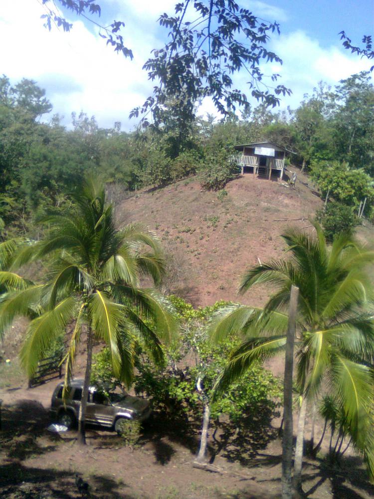 Foto Finca en Venta en La Cruz, Guanacaste - 17 hectareas - ¢ 38.000.000 - FIV1532 - BienesOnLine