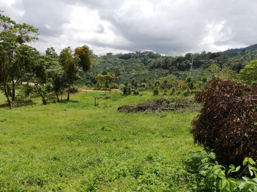 Foto Terreno en Venta en Tirrá de Rivas, Pérez Zeledón, San José - ¢ 11.000.000 - TEV57556 - BienesOnLine