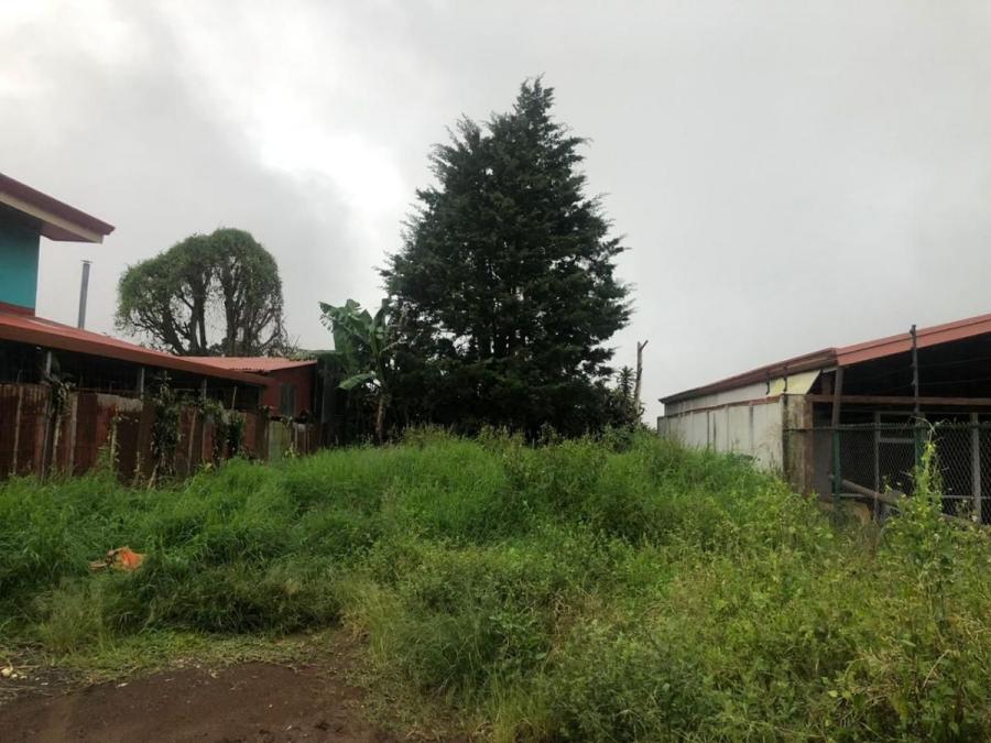 Foto Terreno en Venta en Carrizal, Alajuela, Alajuela - U$D 32.679 - TEV32922 - BienesOnLine