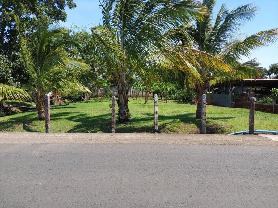 Foto Terreno en Venta en Desamparados, Alajuela, Alajuela - ¢ 74.999.998 - TEV74789 - BienesOnLine