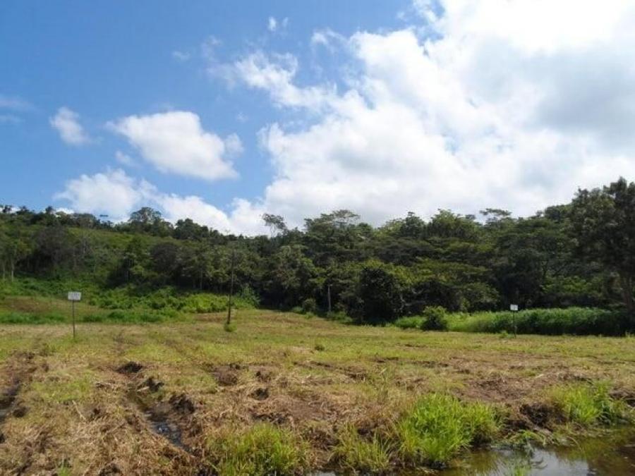 Foto Terreno en Venta en Garabito, Puntarenas - U$D 402.000 - TEV83742 - BienesOnLine