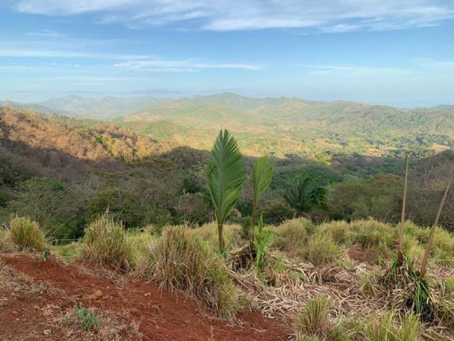 Foto Terreno en Venta en Hojancha, Guanacaste - U$D 459.000 - TEV92302 - BienesOnLine