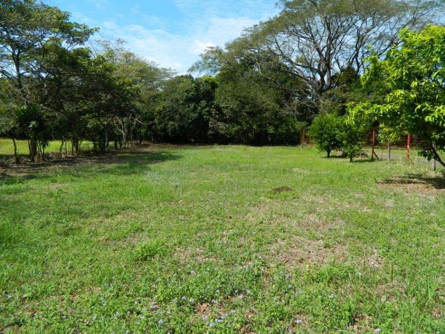 Foto Terreno en Venta en Gucima, Alajuela - U$D 250.000 - TEV79229 - BienesOnLine